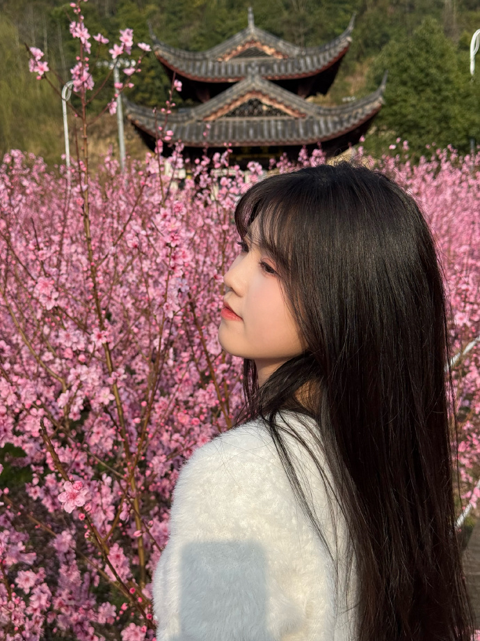 如何用蜘蛛池推送页面结构变更？
